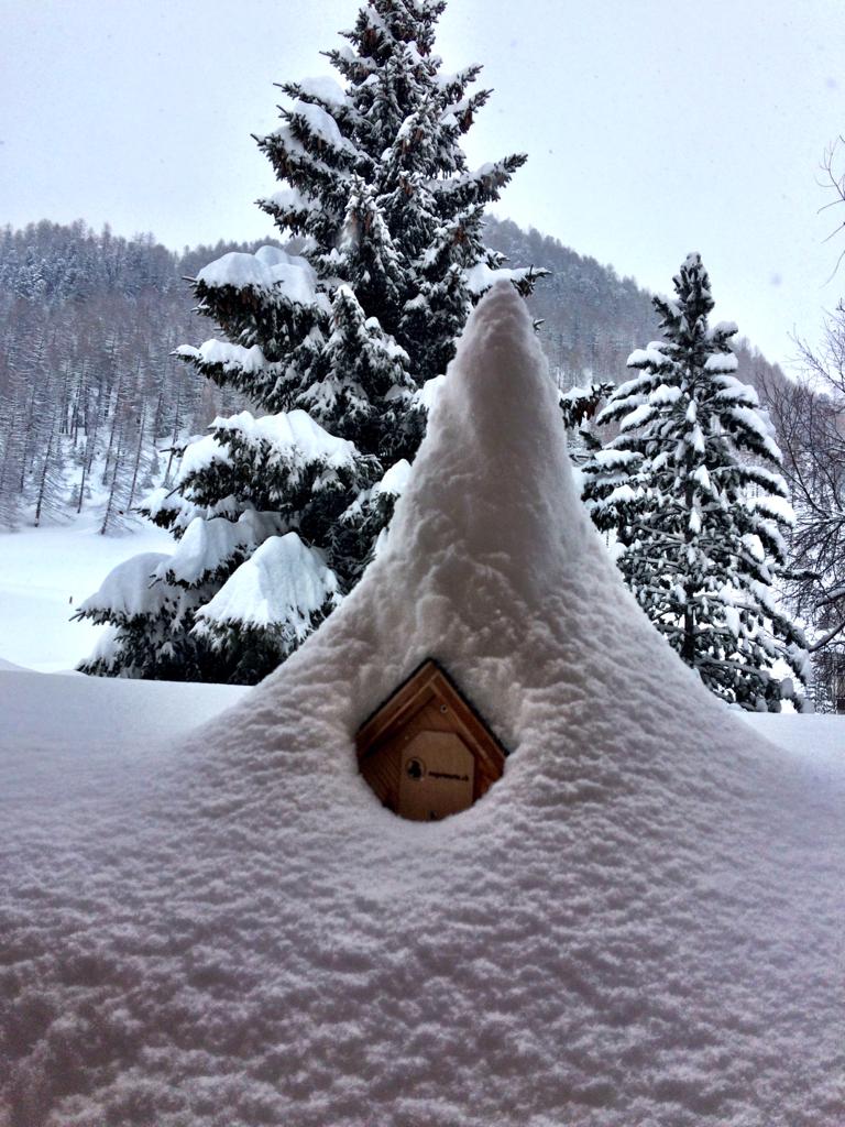 fd2f4ac0-3b45-4a64-a316-b74f2d5d12af