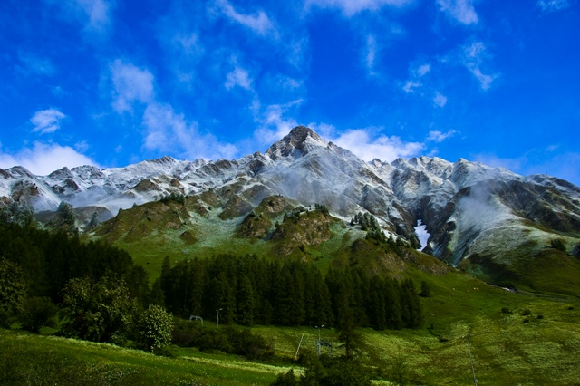 key visual Fruehling